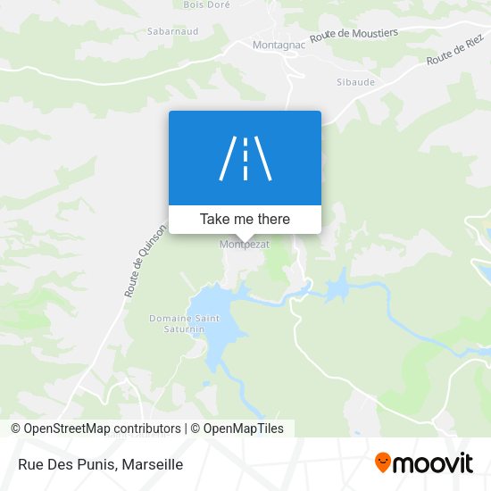 Rue Des Punis map