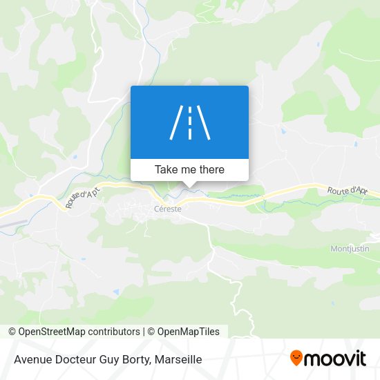 Avenue Docteur Guy Borty map
