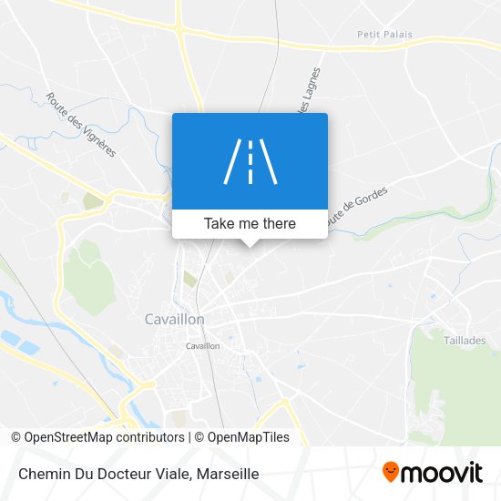 Chemin Du Docteur Viale map