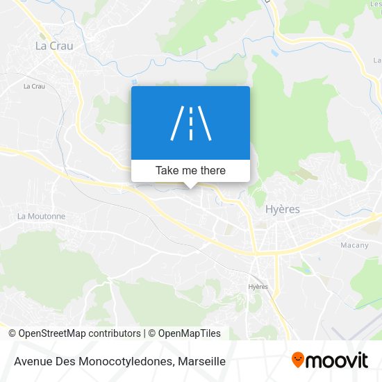 Avenue Des Monocotyledones map