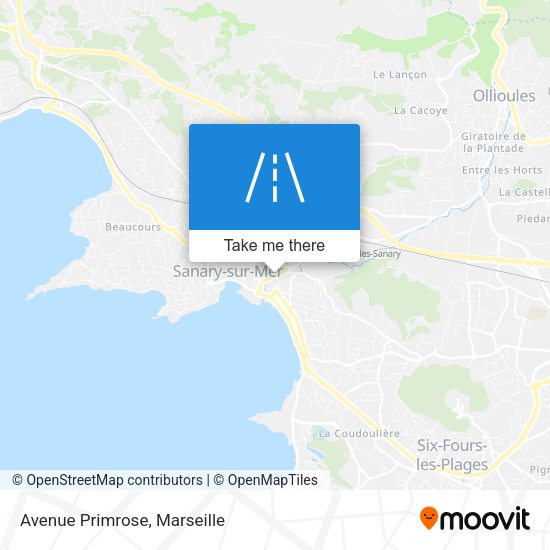Avenue Primrose map