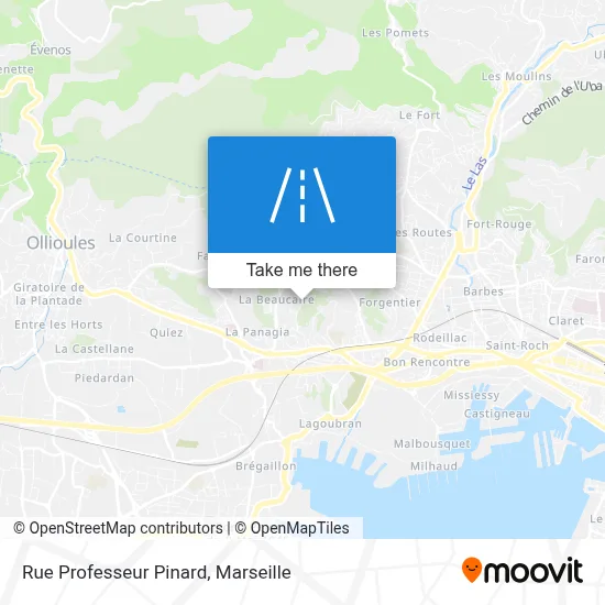 Rue Professeur Pinard map