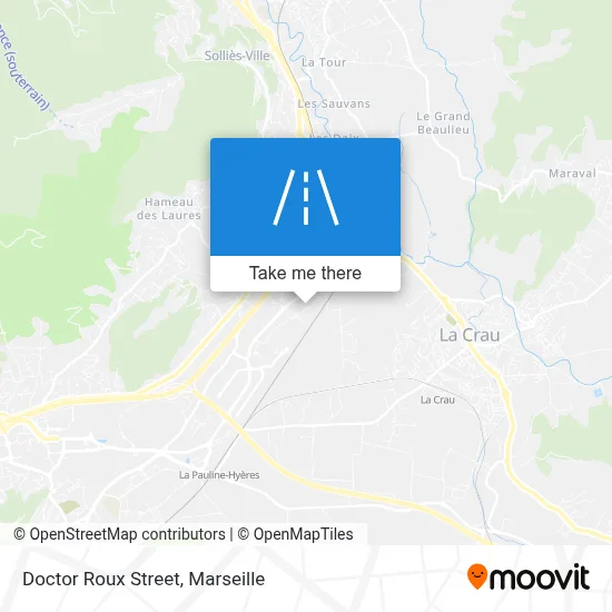 Rue Docteur Roux map