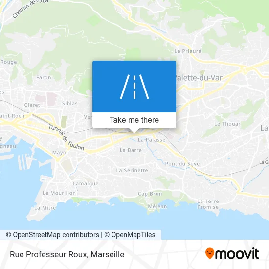 Rue Professeur Roux map