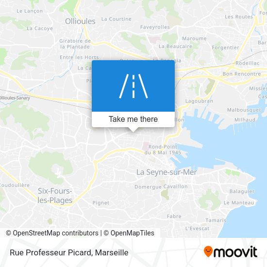 Rue Professeur Picard map