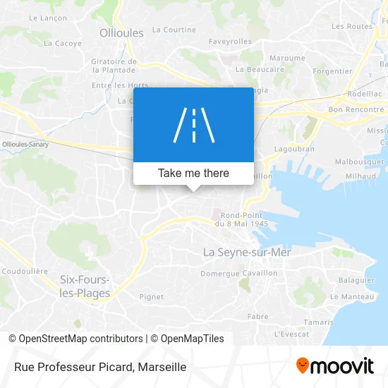 Rue Professeur Picard map