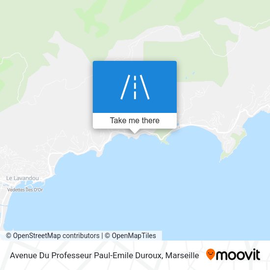 Avenue Du Professeur Paul-Emile Duroux map