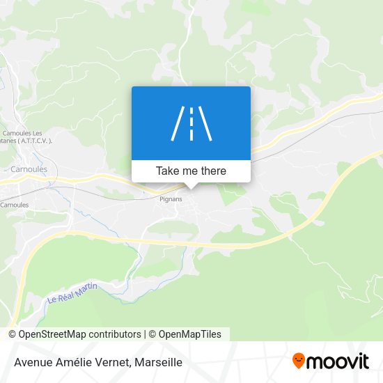 Avenue Amélie Vernet map