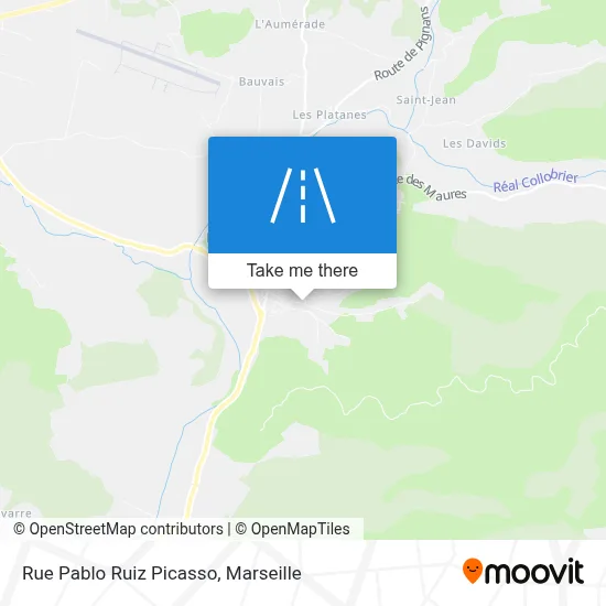 Rue Pablo Ruiz Picasso map