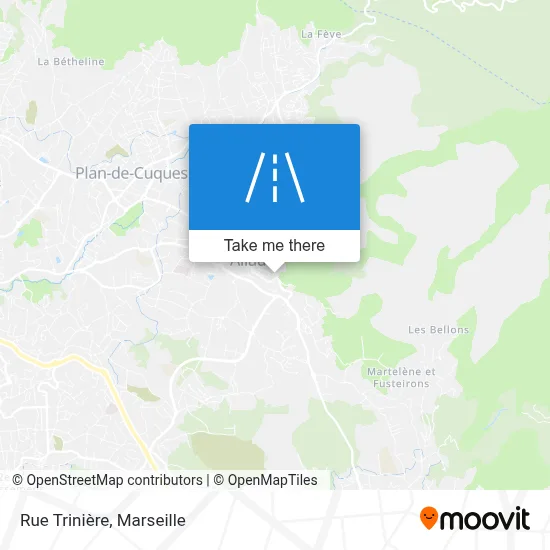 Rue Trinière map