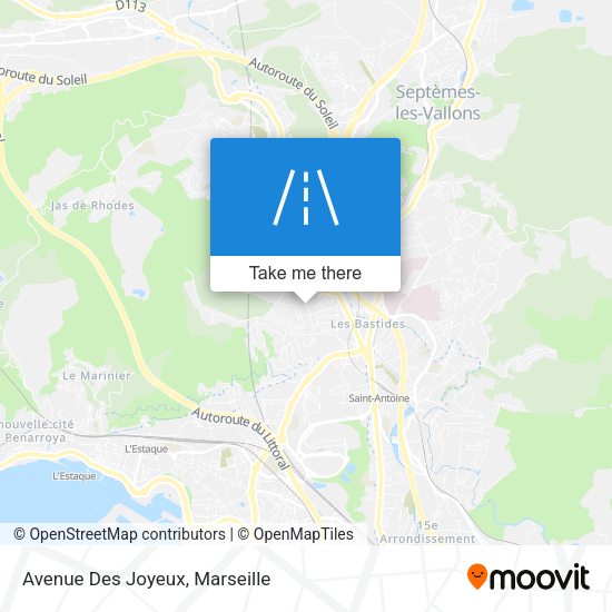 Avenue Des Joyeux map