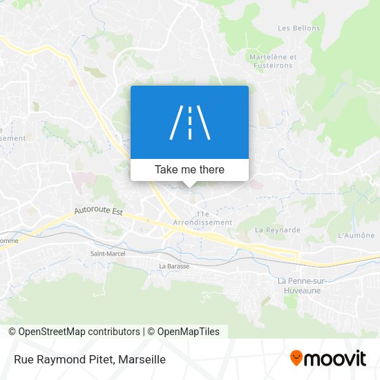 Rue Raymond Pitet map
