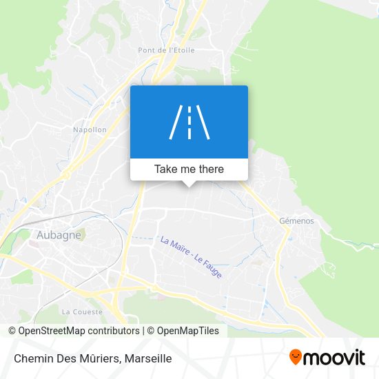 Chemin Des Mûriers map
