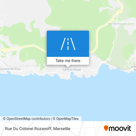 Rue Du Colonel Rozanoff map