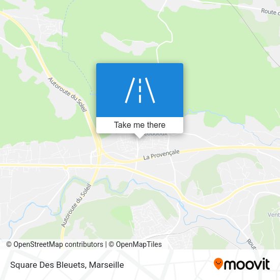 Square Des Bleuets map