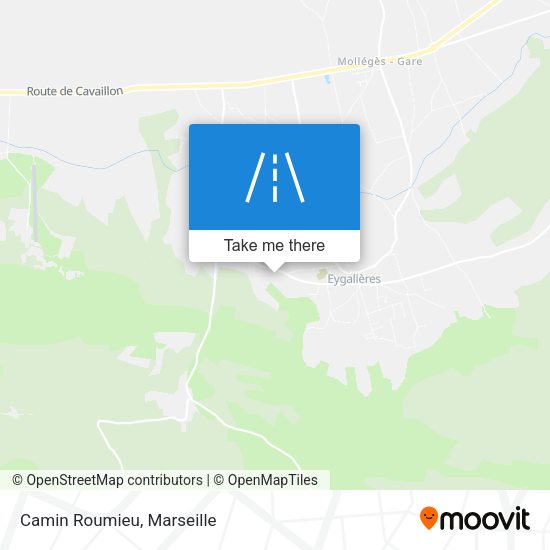 Camin Roumieu map