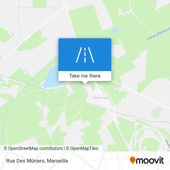 Rue Des Mûriers map
