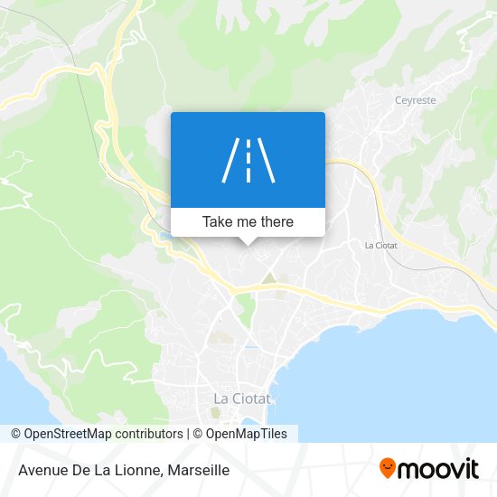 Avenue De La Lionne map