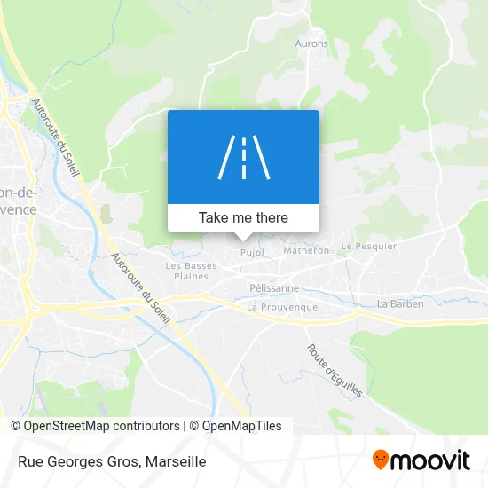 Rue Georges Gros map