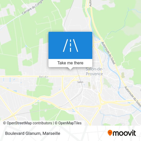 Boulevard Glanum map