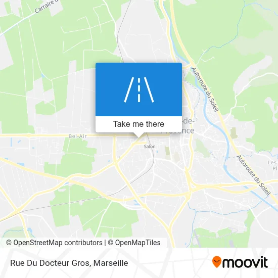 Rue Du Docteur Gros map