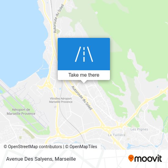 Avenue Des Salyens map