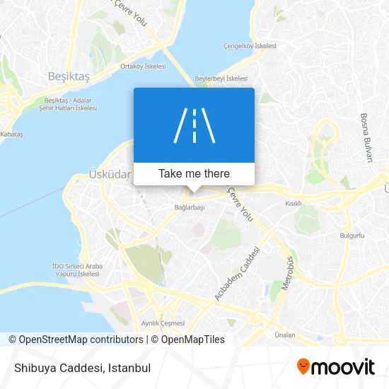 Shibuya Caddesi map