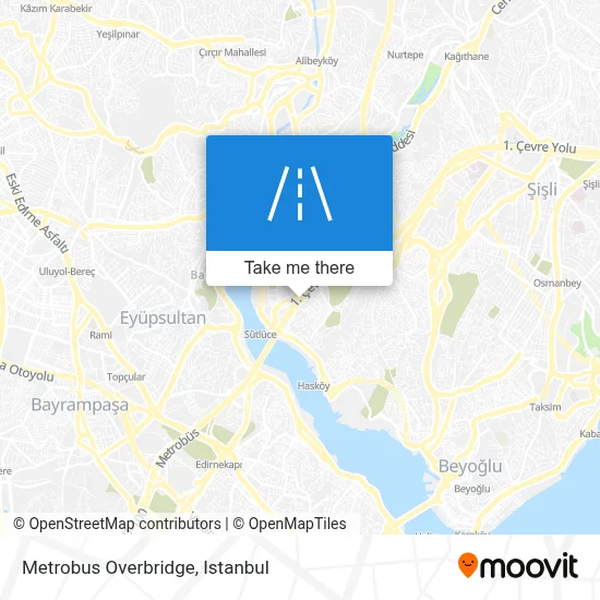 Metrobus Overbridge map