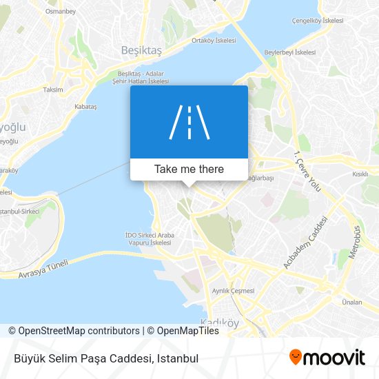 Büyük Selim Paşa Caddesi map