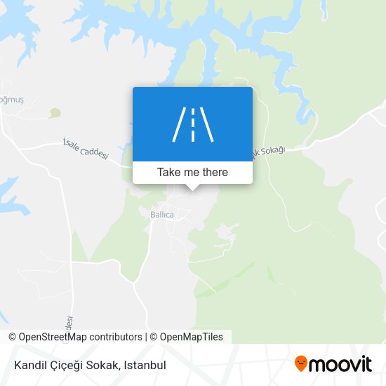 Kandil Çiçeği Sokak map