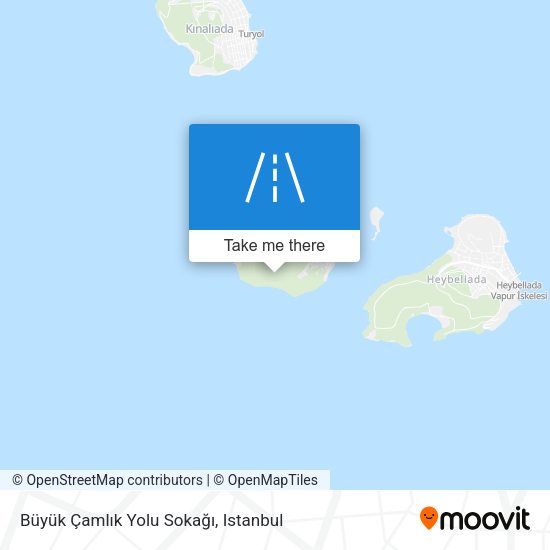 Büyük Çamlık Yolu Sokağı map