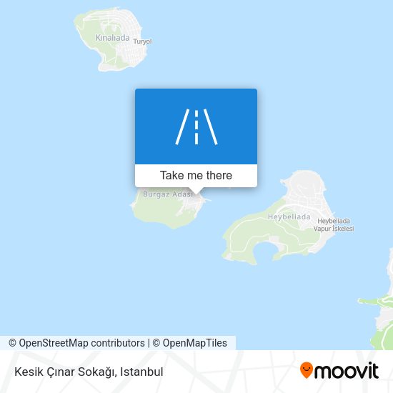 Kesik Çınar Sokağı map