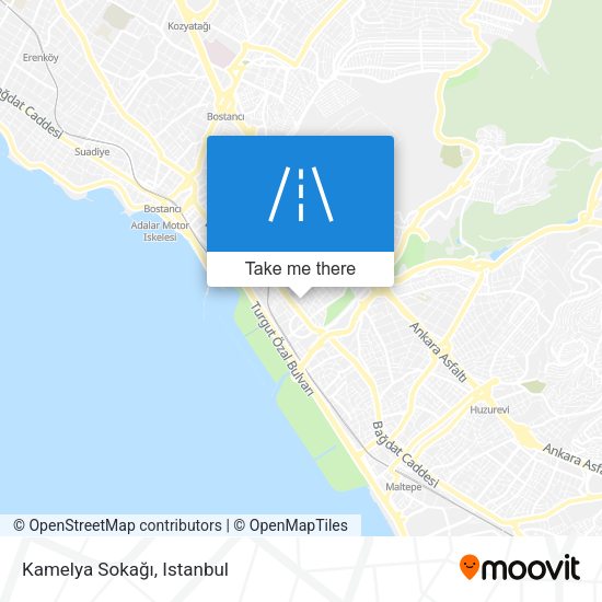 Kamelya Sokağı map