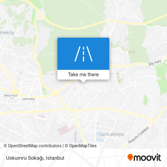 Uskumru Sokağı map