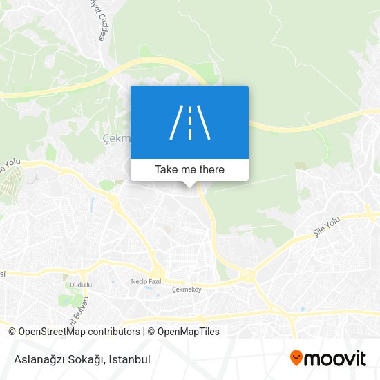 Aslanağzı Sokağı map