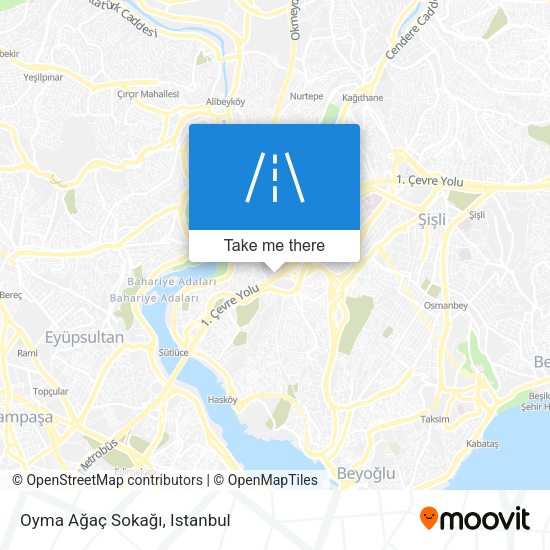 Oyma Ağaç Sokağı map