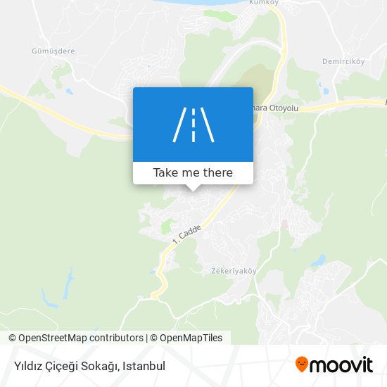 Yıldız Çiçeği Sokağı map