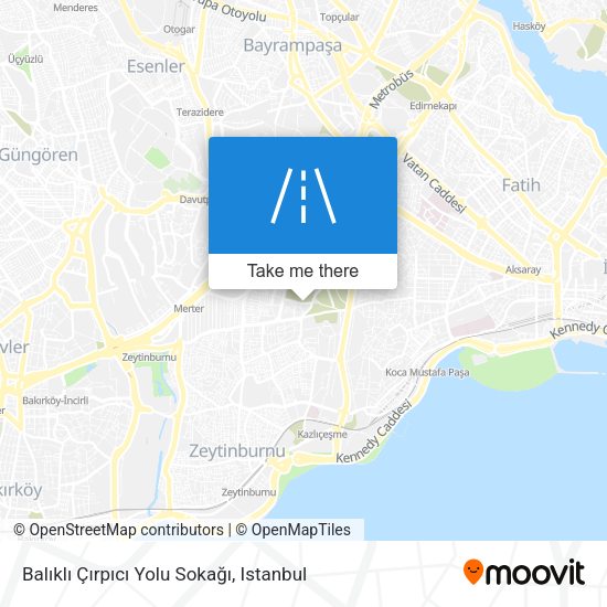 Balıklı Çırpıcı Yolu Sokağı map