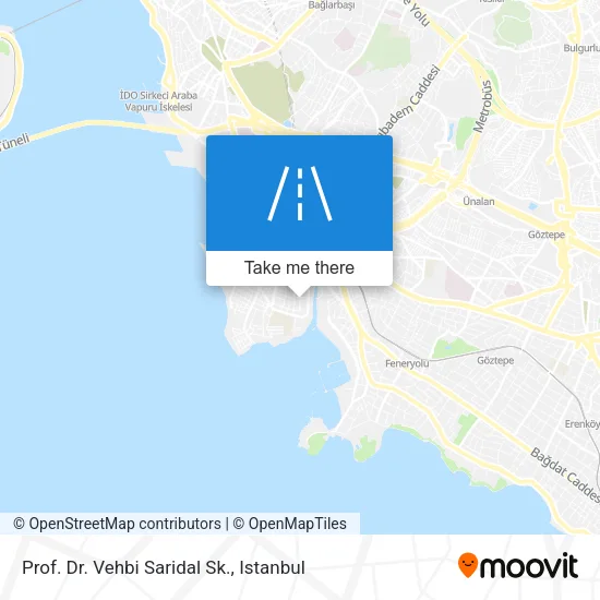 Prof. Dr. Vehbi Saridal Sk. map