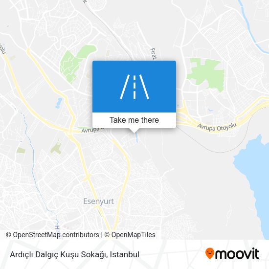 Ardıçlı Dalgıç Kuşu Sokağı map