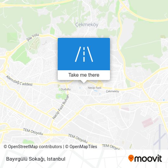 Bayırgülü Sokağı map