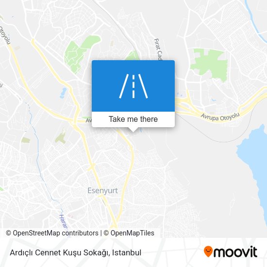 Ardıçlı Cennet Kuşu Sokağı map