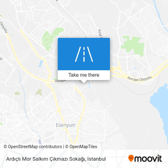 Ardıçlı Mor Salkım Çıkmazı Sokağı map