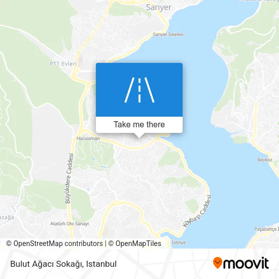 Bulut Ağacı Sokağı map