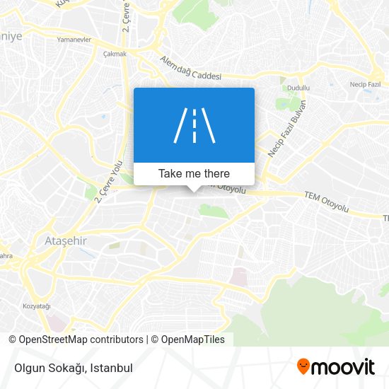 Olgun Sokağı map