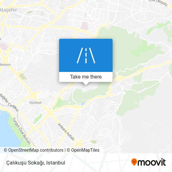 Çalıkuşu Sokağı map