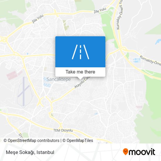 Meşe Sokağı map