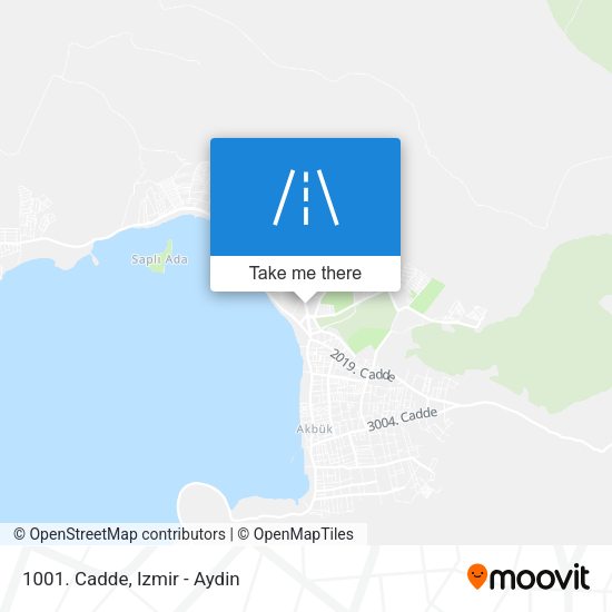 1001. Cadde map