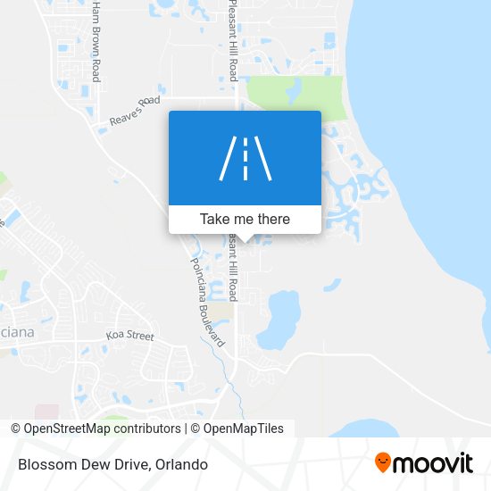 Mapa de Blossom Dew Drive