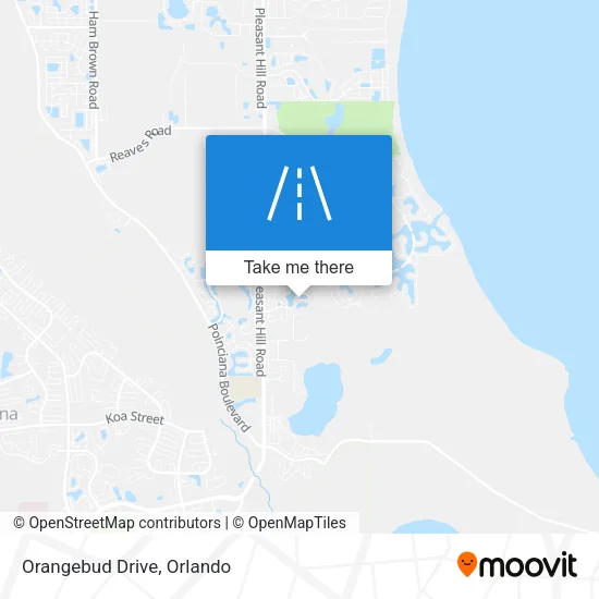 Orangebud Drive map